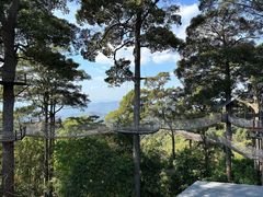 -清迈丛林飞跃 JungleFlight