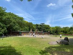 -上海野生动物园