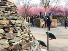 -白塘生态植物园