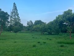 -良渚古城遗址公园