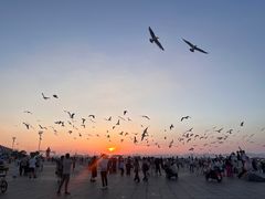 -东港音乐喷泉广场