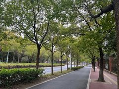 -美兰湖景区