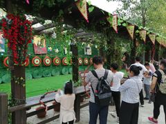 -合肥滨湖国家森林公园