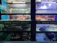 -好灶头妈妈菜·千岛湖土菜地标美食