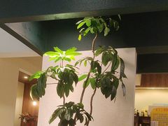 -The Good Place好地方·Brunch·coffee(国贸店)