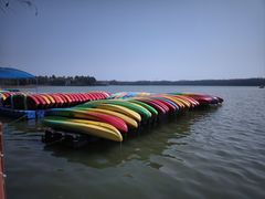 -上海海湾国家森林公园