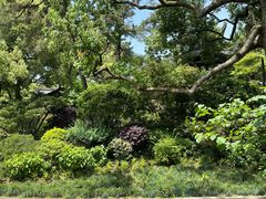 -浙江西子宾馆·瑶园咖啡厅