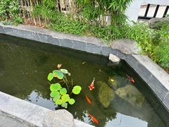 -汤宴·参须肚包鸡(南京路店)