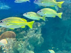 -上海海洋水族馆