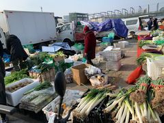 -何庄子阿米玛玛农产品批发市场