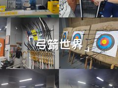 -蓝天射箭馆·专业射箭运动(诚丰广场店)