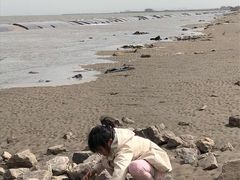 -东疆建设开发纪念公园
