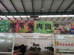 -龙大花卉苗木市场