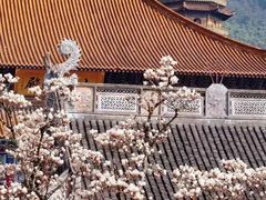 -杭州上天竺法喜讲寺