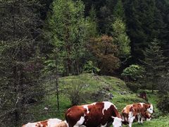 -硗碛藏寨·神木垒景区