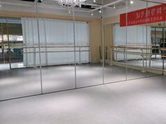 -炫艺舞蹈培训中心(枫尚奥特莱斯店)