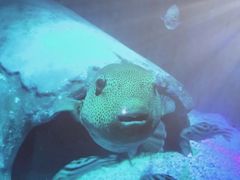 -沈阳海洋探索中心