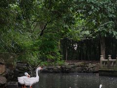 -兰亭风景区