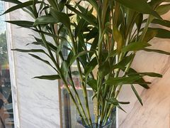 -齐家花园大酒店(宝山店)