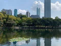 -荔枝公园(福田区)