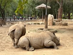 -北京野生动物园