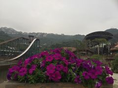 -东部华侨城