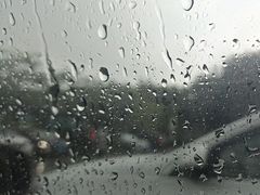 -大屏嶂森林公园