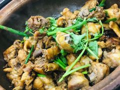 -华仔土鸡店(创意产业园店)