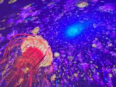 -海合安青岛极地海洋公园
