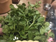 -东椰·海南椰子鸡火锅(朝阳门店)