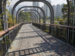 -金鸡山公园