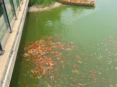 -中华郡文化旅游景区