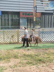 -萌宠亲子动物乐园(槐房万达店)