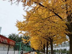 -北京理工大学(中关村校区)