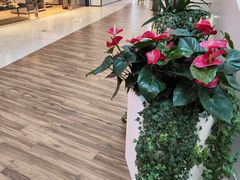 -合景·悠方(成都店)