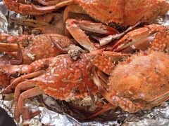 土窑海鲜第一家-临高吉海土窑海鲜(琼山店)