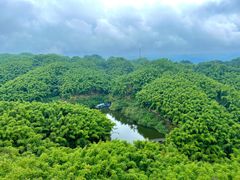-沐川竹海旅游景区