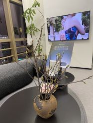 -JNK皮肤管理中心