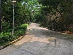 -小南山公园