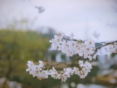 -南山风景名胜区