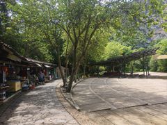 -明仕田园