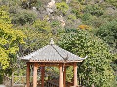 -大岭沟猕猴桃谷风景区