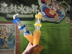 -苏州乐园森林水世界