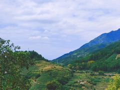 -杨家堂村