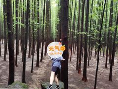 -山王坪喀斯特国家生态公园