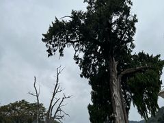-灵光寺
