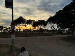 -威勒比开放式动物园