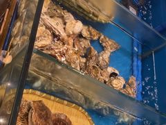 -火舞泰·泰式海鲜火锅餐厅(世纪城店)