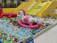 -南宫五洲植物乐园