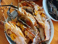 -15年老字号鑫鑫猪肚鸡·椰子鸡海南火锅(兴隆华侨农场店)